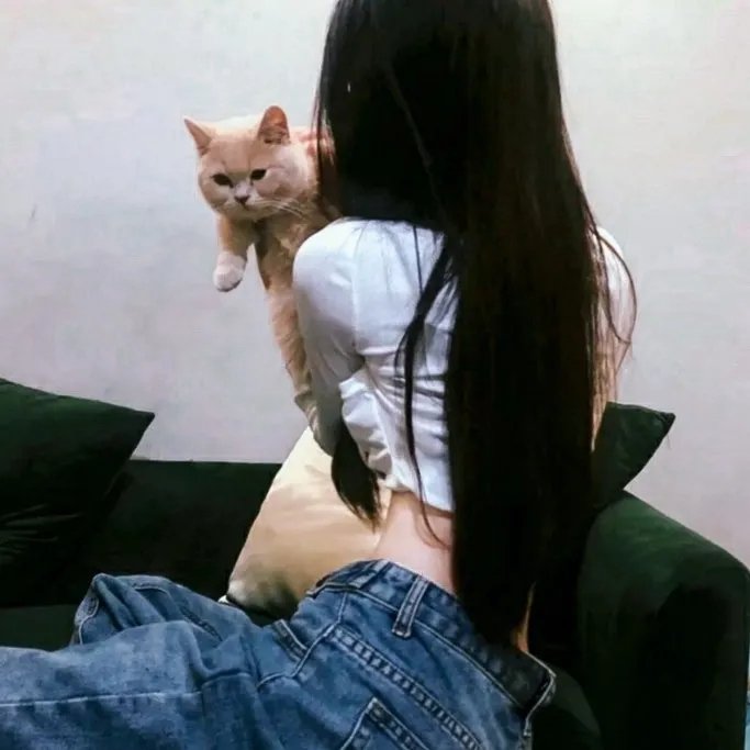 小鸡